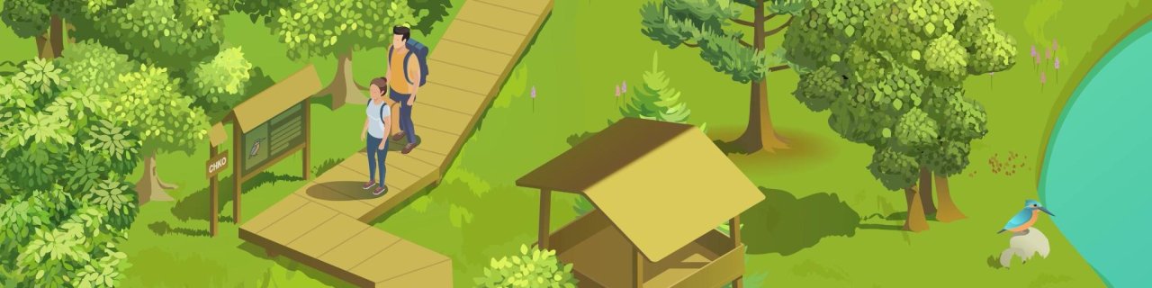 Motion Design: Animated Graphics That Bring Your Message to Life